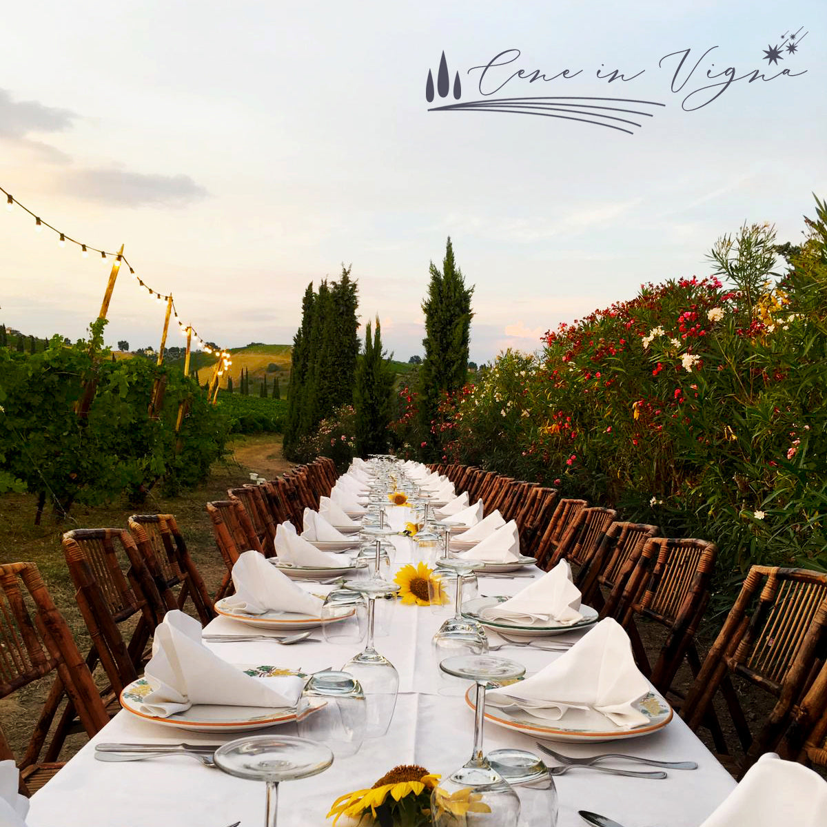 Cena in Vigna - Venerdì 20 Giugno
