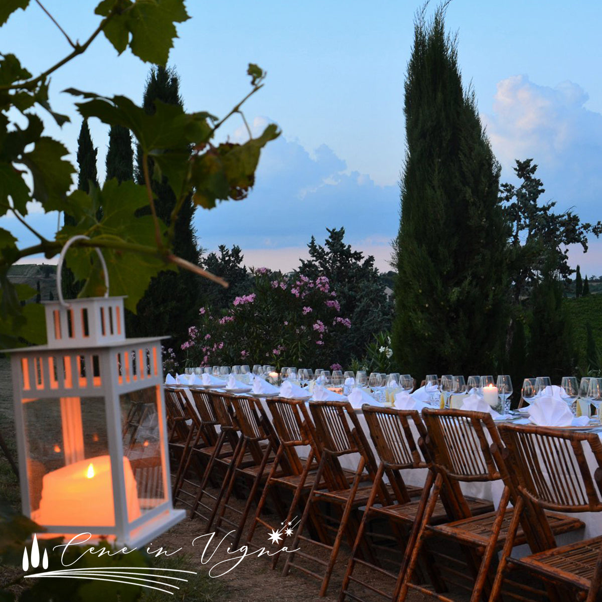 Cena in Vigna - Venerdì 20 Giugno