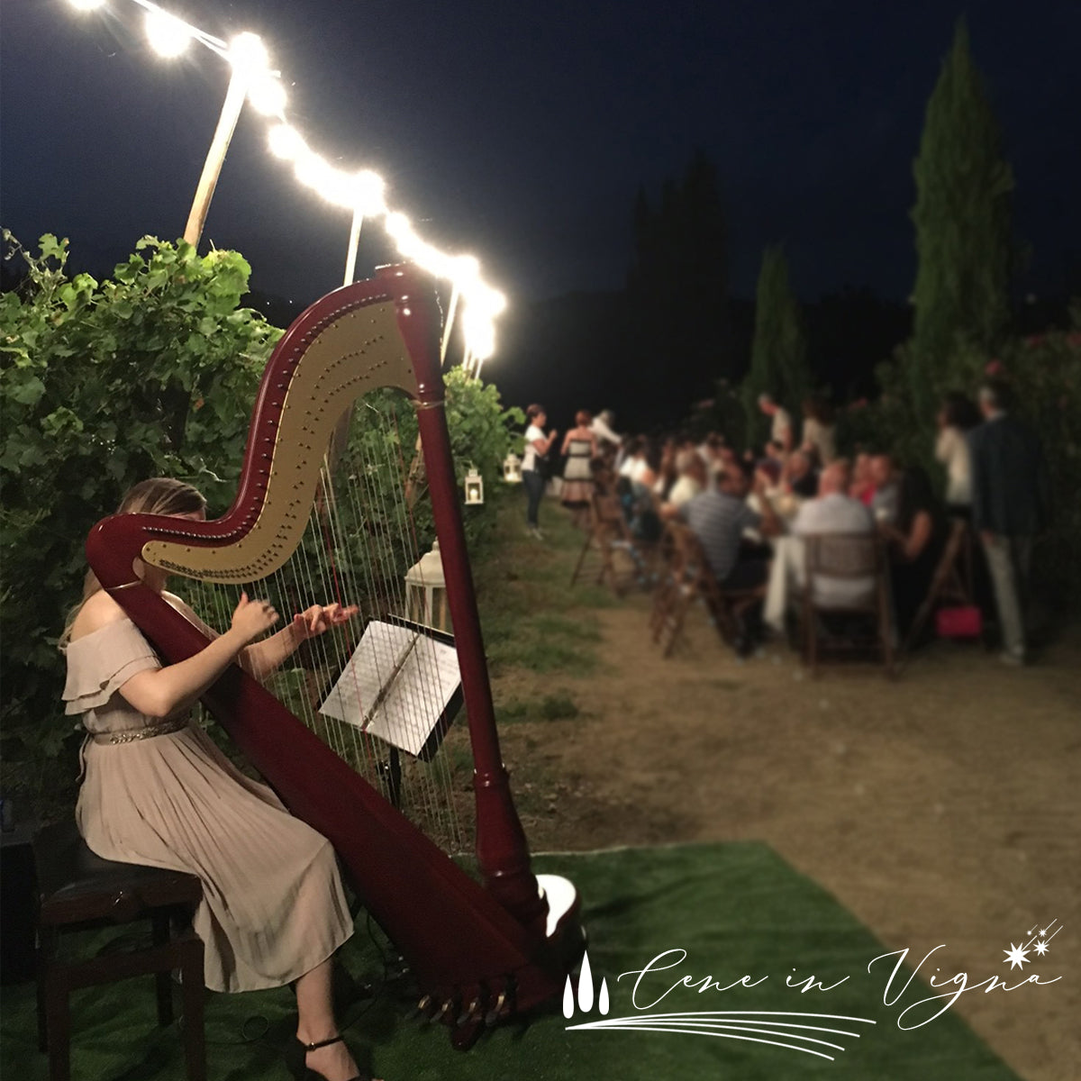 Cena in Vigna - Venerdì 20 Giugno