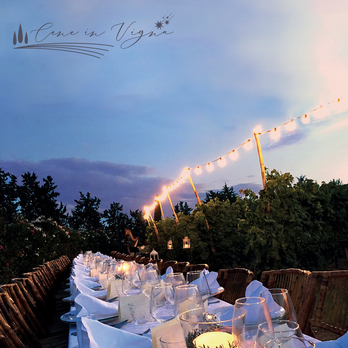 Cena in Vigna - Venerdì 20 Giugno