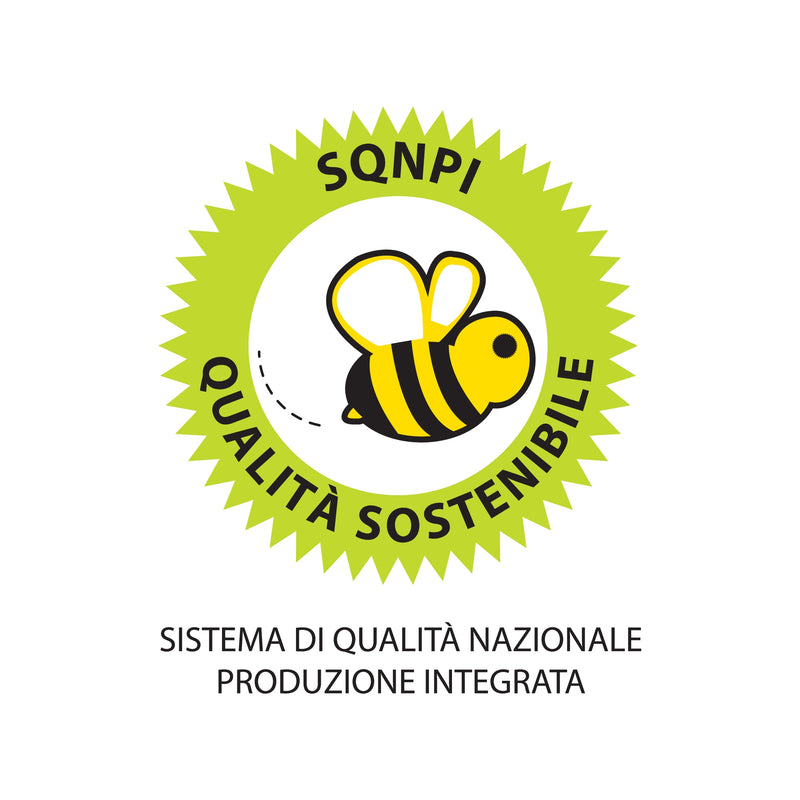 Logo ufficiale SQNPI – Sistema di Qualità Nazionale Produzione Integrata
