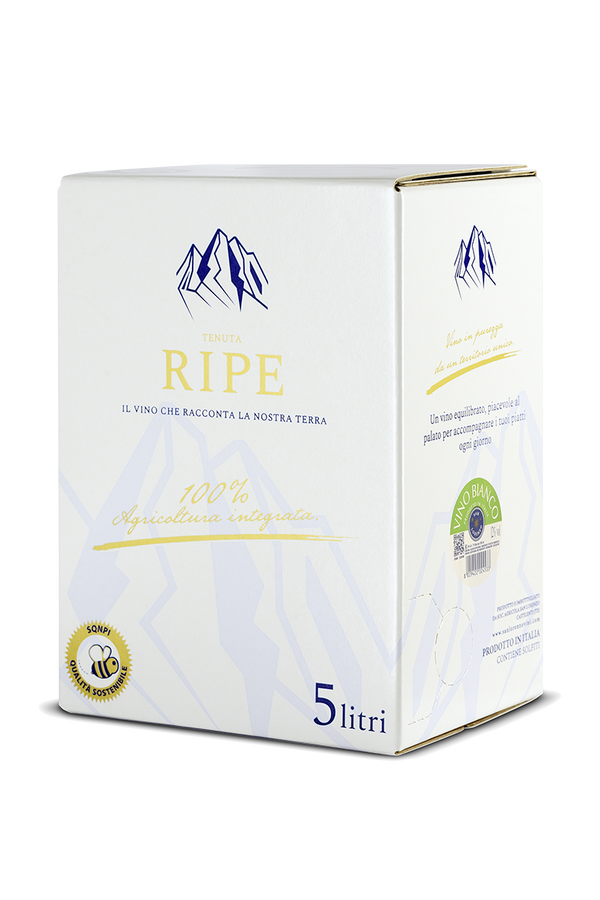 Vino Bianco 5L Bag in Box