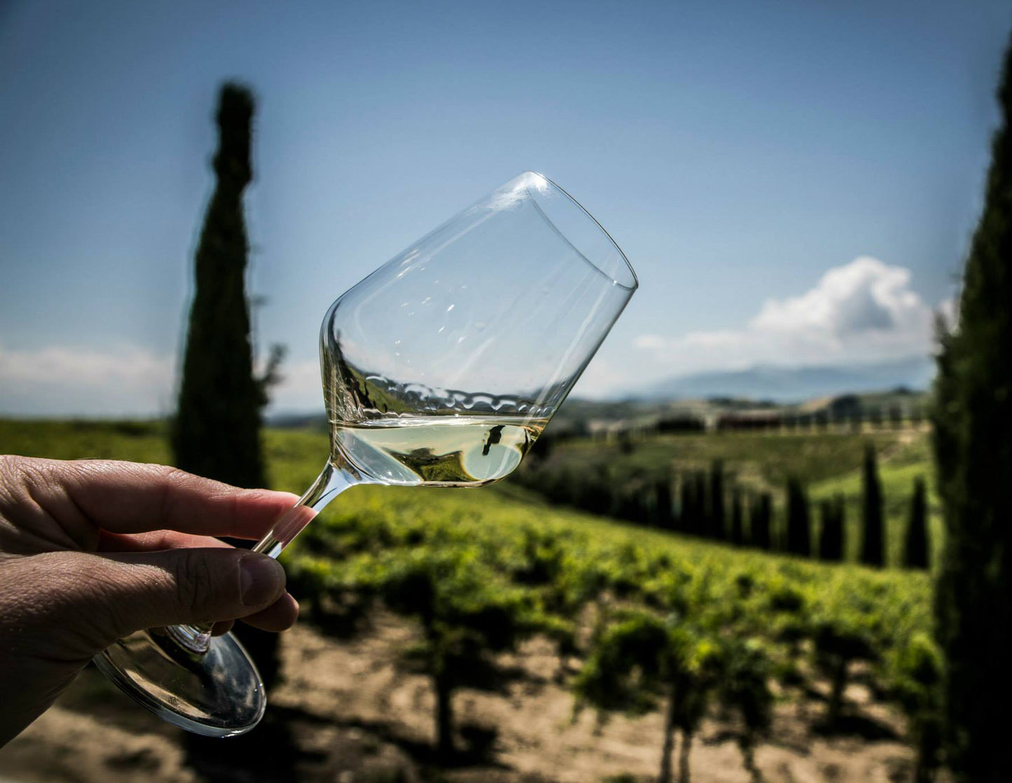CLASSIC WINE TOUR