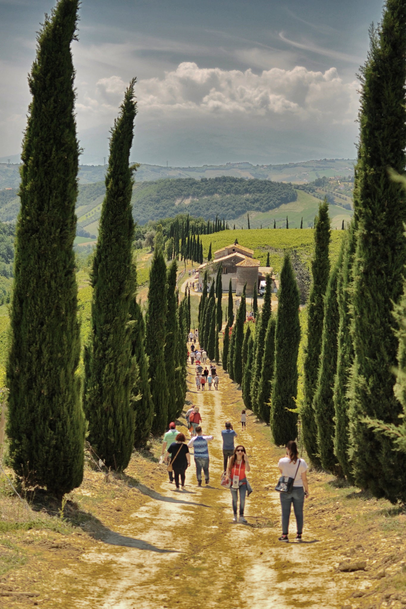 CLASSIC WINE TOUR